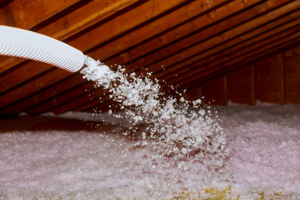 Best Specialty Insulation in Dooms, VA